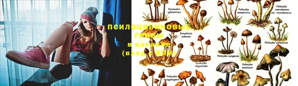 кокаин премиум Алексеевка