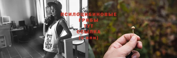 дживик Алексин