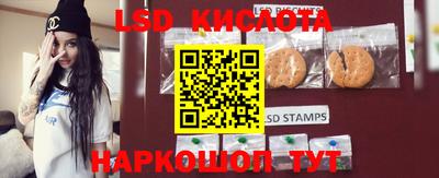 гашик Донецк