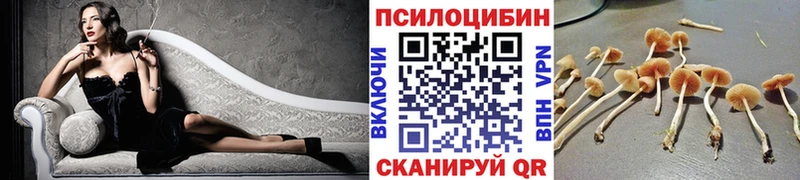 Псилоцибиновые грибы MAGIC MUSHROOMS  цена   ссылка на мегу маркетплейс  Дмитров 