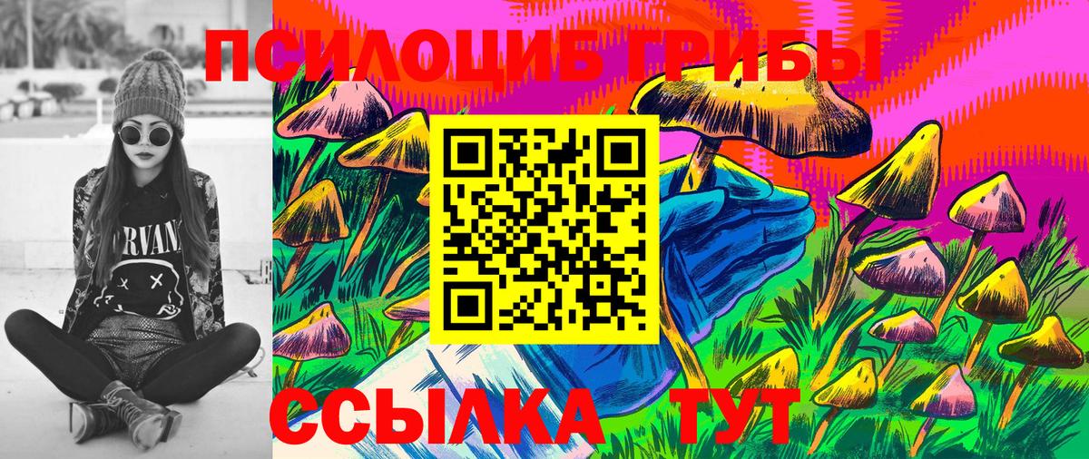 Галлюциногенные грибы Psilocybine cubensis Дмитров