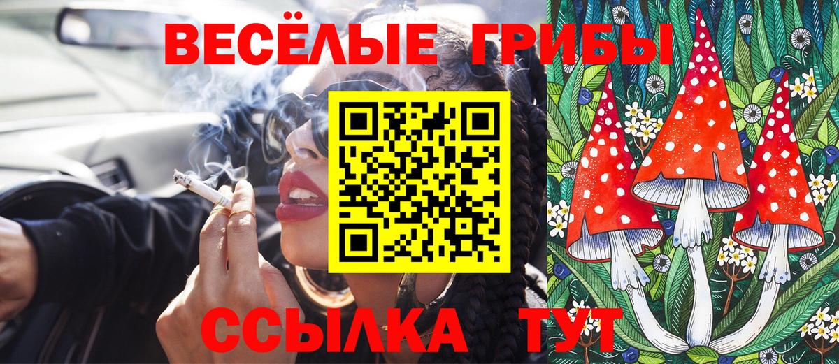 Псилоцибиновые грибы GOLDEN TEACHER  Вход с VPN  Дмитров 